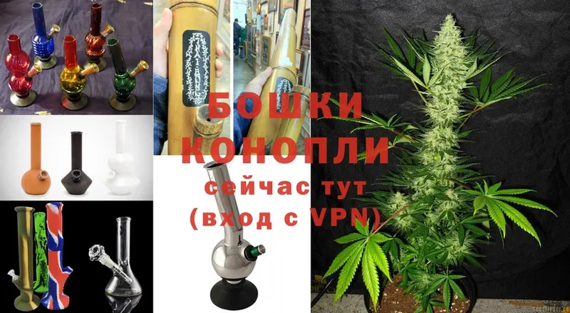 цена   Новоалександровск  Конопля THC 21% 